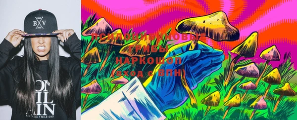 гидра Алексин