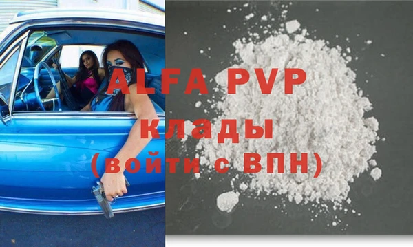 крисы Алзамай