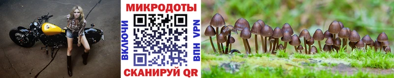 Галлюциногенные грибы Magic Shrooms  Ветлуга 